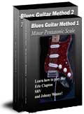 Blues Guitar Lesson DVD Set